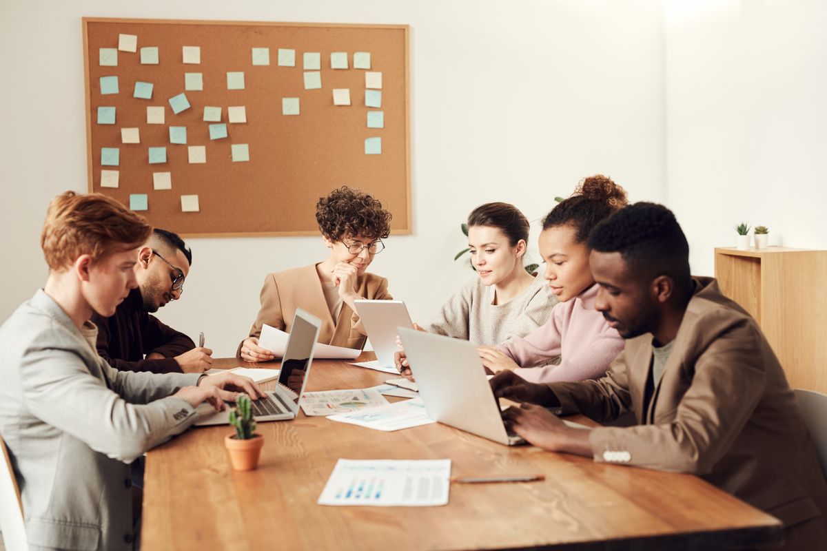 A team working together across connected laptops. Stock photography.